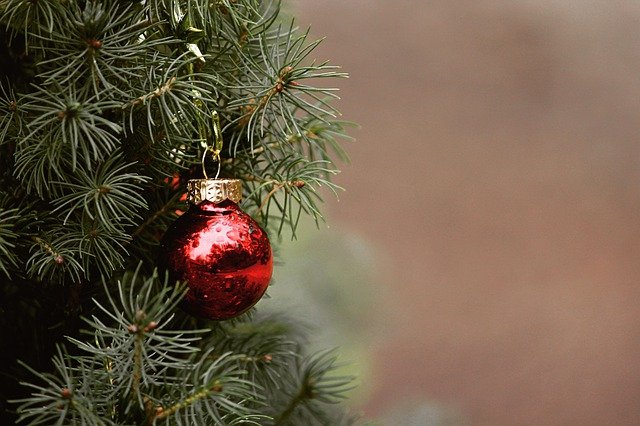 Can a Christmas Tree Damage My Hardwood Floors?